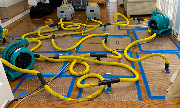 Professional Burst Pipe Water Damage technician working in Keansburg, NJ